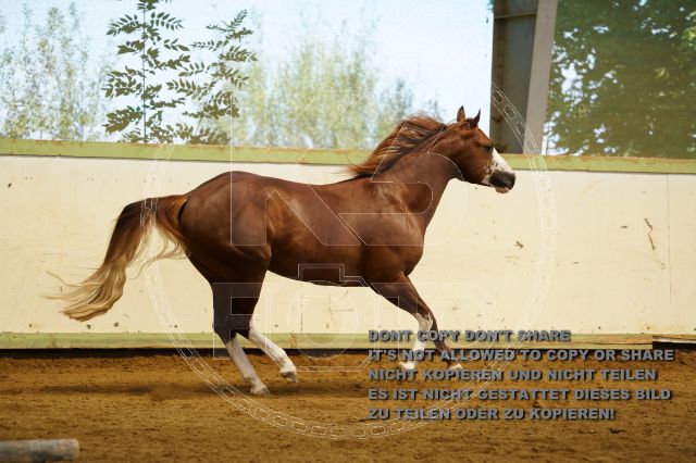 a_K3F04110.JPG